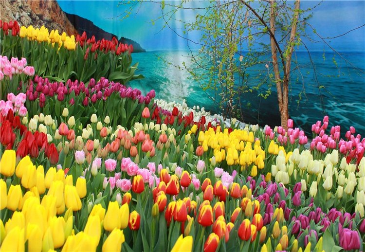 Тюльпановый Рай. Выставка тюльпанов в Твери. Mini Layla elf Sunkissed skin от Kaye Wiggs