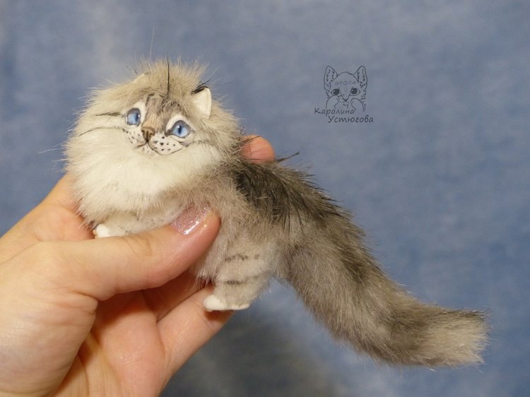 Котята Невские маскарадные, окрас Тэбби пойнт