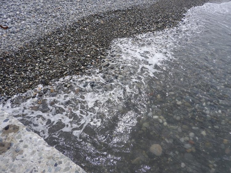 Сочи-Адлер: Южное Взморье - Красоты Черного Моря