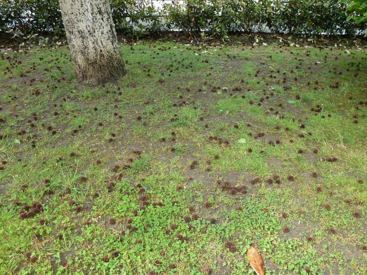 Сочи-Адлер: Южное Взморье - виртуальное путешествие по территории санатория