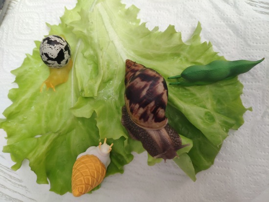 Что такое гасяпон — Домашние фото авторских игрушек: Тедди (фото 2)