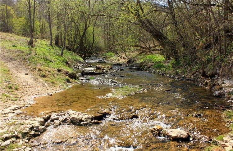 Джи и Городенка. BJD Gigi от Meadow Dolls