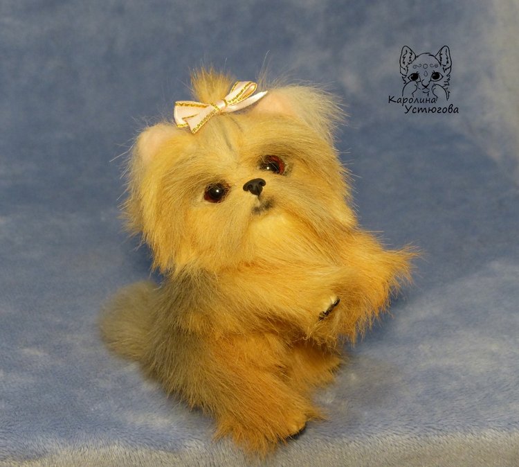 Щенок Йоркширского терьера (фото 3)