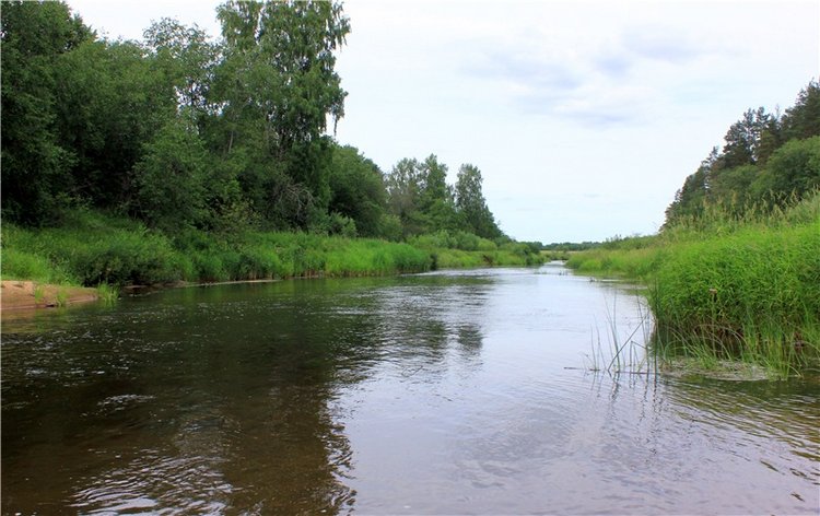 Подготовка к Конкурсу Кукольной Красоты Мисс Бэйбики 2019