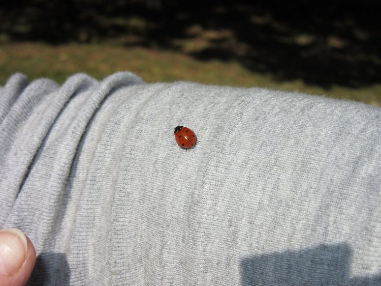 Выходной с Хеленой в Таганроге