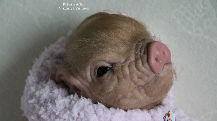 Поросенок Мила... куколка реборн Виктории Вишни