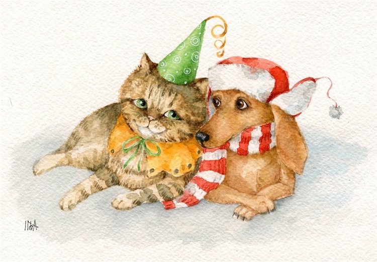 Предновогодние денёчки! Улыбнёмся вместе! Смешные таксы Инги smG