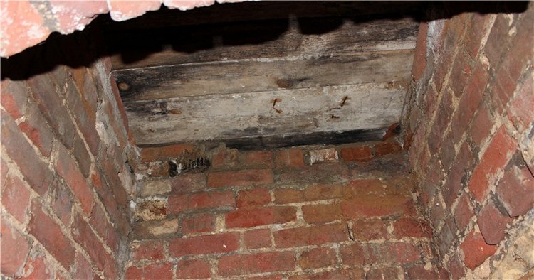 Тверской "Луксор" — Куклы Meadow dolls (Медовушки): BJD (БЖД)