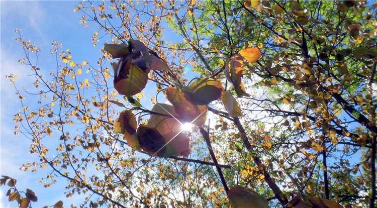 Просто Весна — Красивая природа и цветы: фото пейзажей