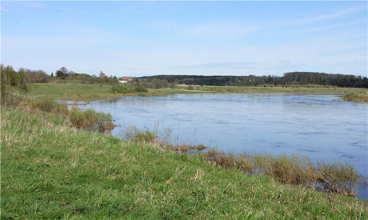 Долгая дорога к Волге. Custom Blythe Doll UFO Go Go Takara