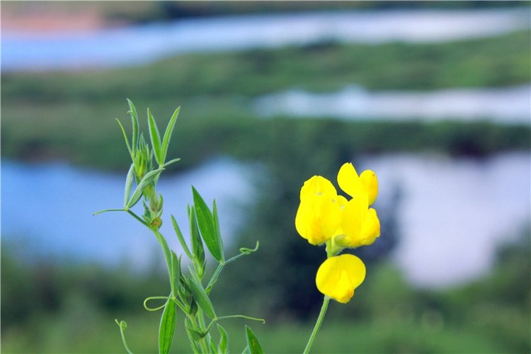 Путешествие Эли на красивый берег реки Волги