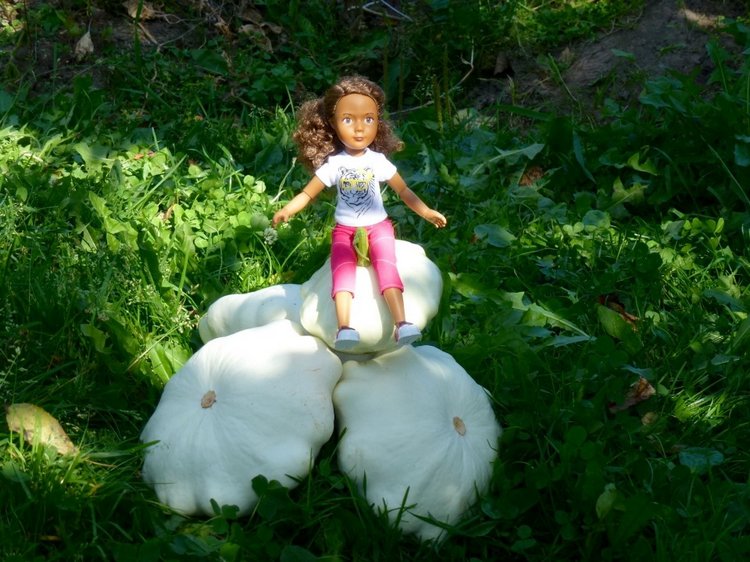 Отдых в деревне с Джой — Туризм и путешествия: фотоотчеты из поездок