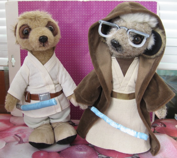 Британские сурикаты с русскими корнями (фото 5)