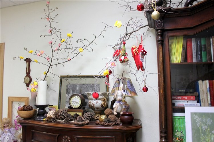 Тверской Ботанический Сад (фото 6)