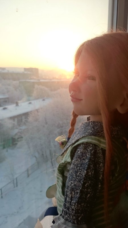 Неожиданное приобретение. Миалотта от Цвергназе - рыжая, хитрющая, сама себе на уме (фото 4)