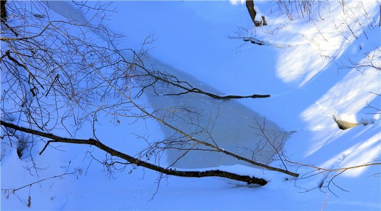 Зимняя прогулка Сони. Уникальная кукла от Сильвии Наттерер