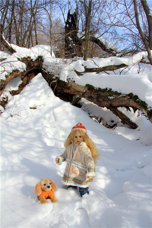 В поисках Синей птицы. Merle от Sissel Bjorstad Skille, Фирмы Götz