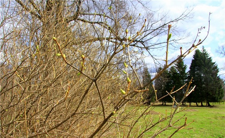 Усадьба Чукавино, Тверская область