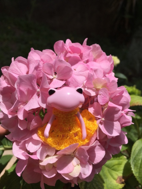 Таша Wonderfrog в Черногории (фото 7)