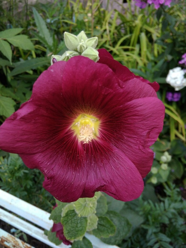 The inhabitants of the Silver tower (Обитатели Серебряной башни): Первая прогулка доктора Беннера (фото 8)