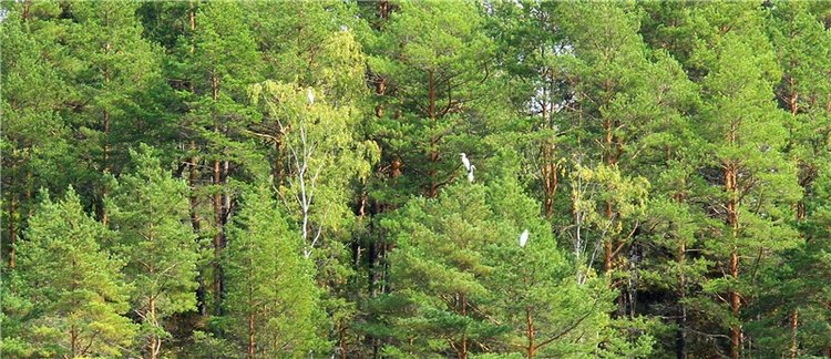 Старицкая Швейцария. Путешествие с Сашей, продолжение. Уникальная кукла от Сильвии Наттерер