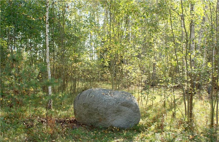 Путешествие Адель в "Сад камней". Джульетта от Sylvia Natterer