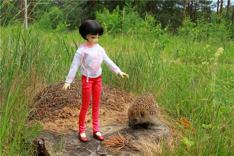 Девочка и Ёжик. Minifee Miyu FairlyLand | Бэйбики Девочка и Ёжик. Minifee Miyu FairlyLand