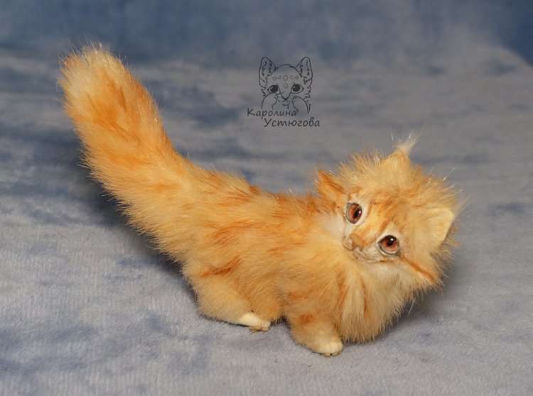 Мейн-ку́н, миниатюра. Рыженький (фото 2)