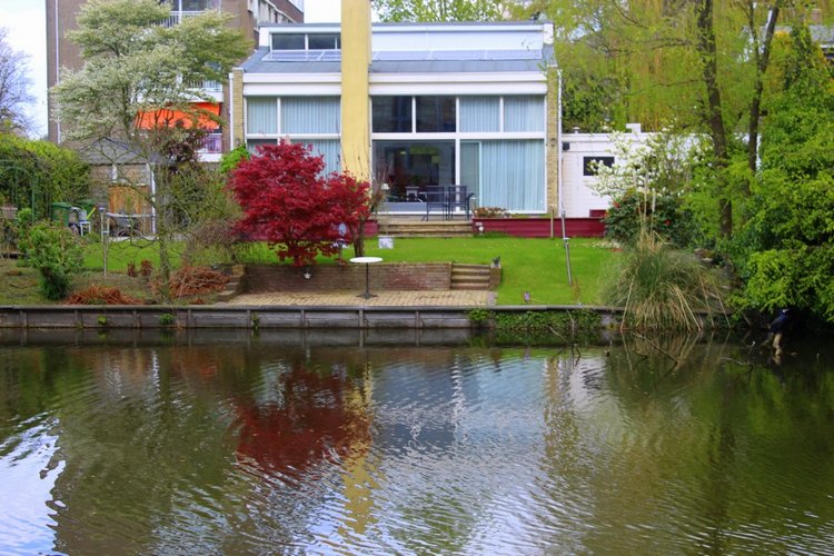 Цветущая Сакура. Прогулка по парку с Алисой. Весенние зарисовки