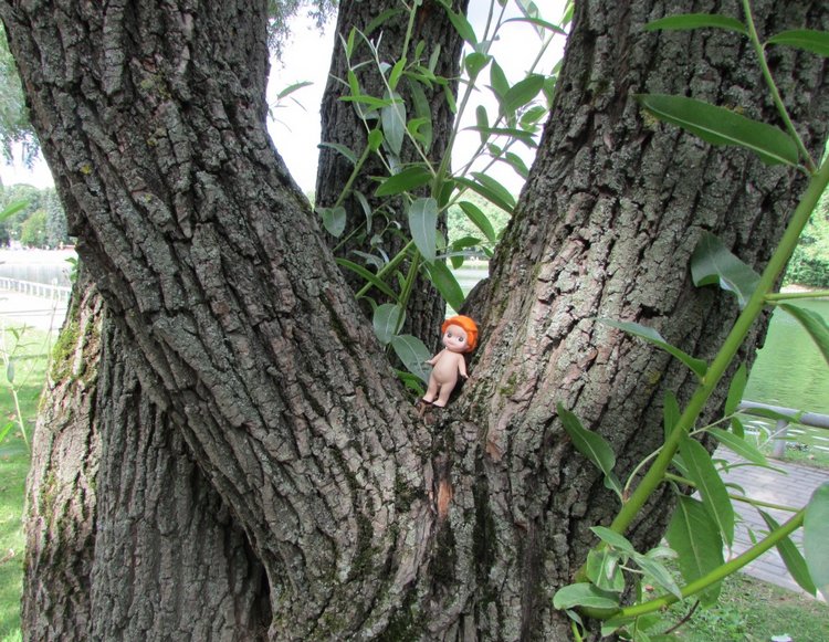 Моя кукольная семья на прогулке в Измайловском Парке