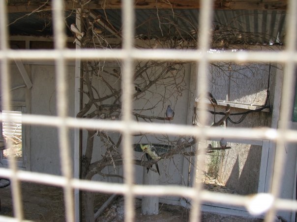 Путешествие на о. Кипр — Туризм и путешествия: фотоотчеты из поездок