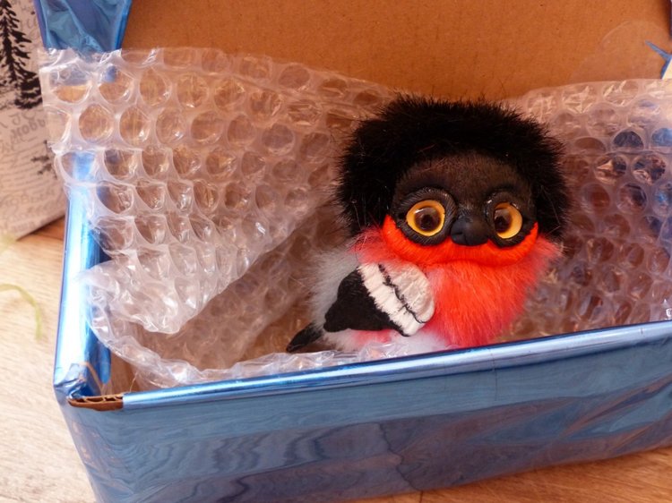 Новогодняя упаковка, провожаем в путь зверяток. Разные фотографии