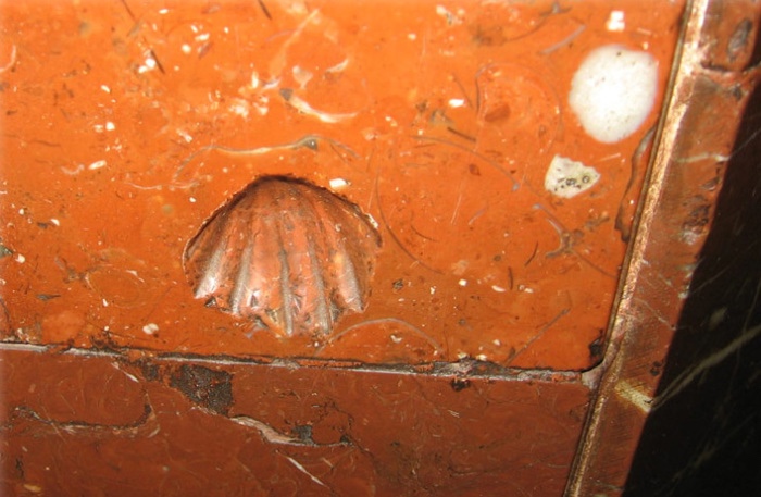 Звероящер и узоры времён динозавров в Московском метро