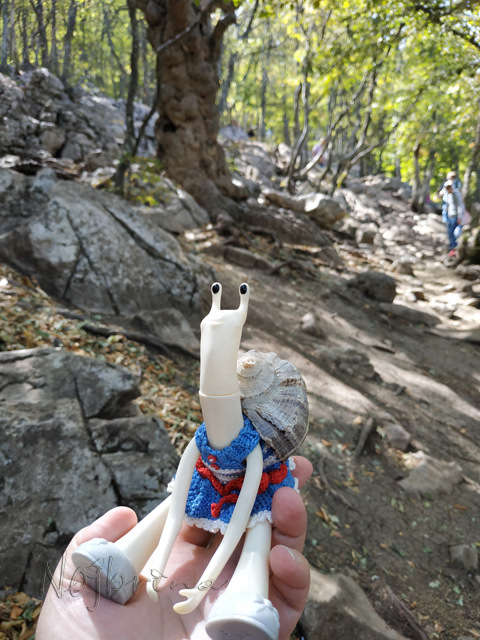 Wonderfrog. Красота в простоте. Часть 3