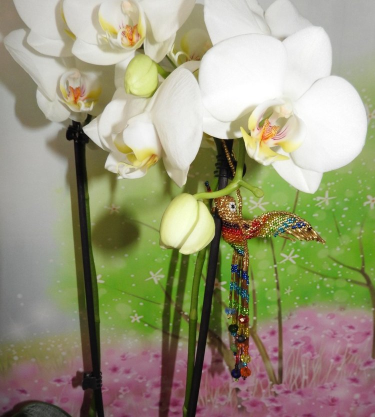 Колибри из бисера — Вышивка крестиком