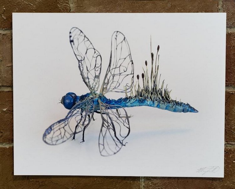 EllenJewettPrintShop - "Сюрреалистическая естественная история" by Ellen Jewett