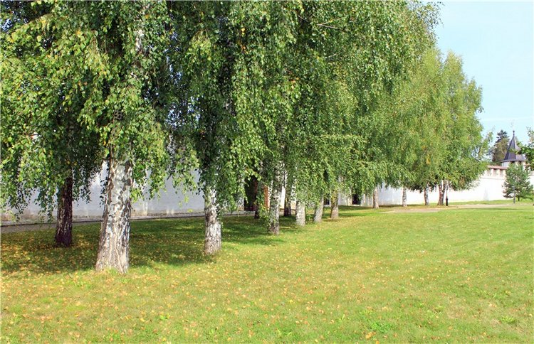 Сентябрьское путешествие в Старицу. Старицкий Свято-Успенский Монастырь