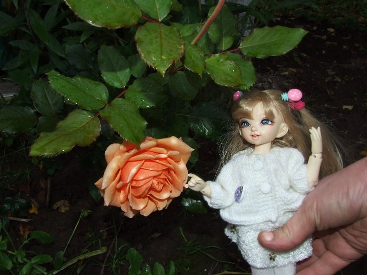 Линка и Иришка - сборщицы винограда | Бэйбики Линка и Иришка - сборщицы винограда