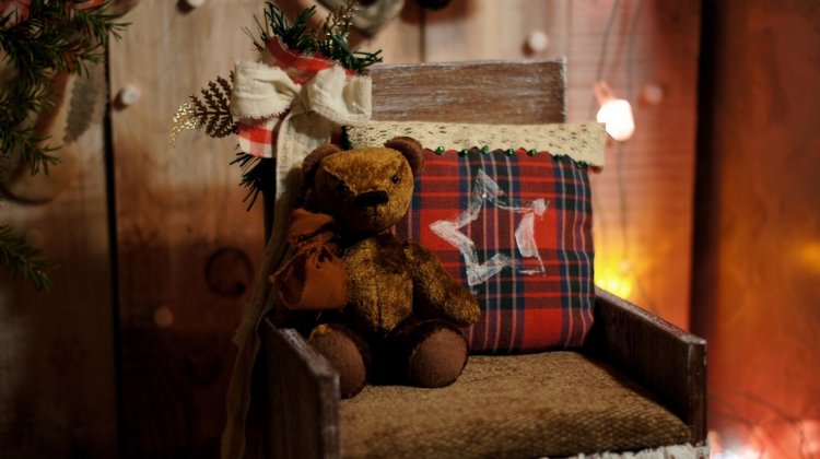 Новогодний вечер — Другие хобби и увлечения: сад (фото 10)