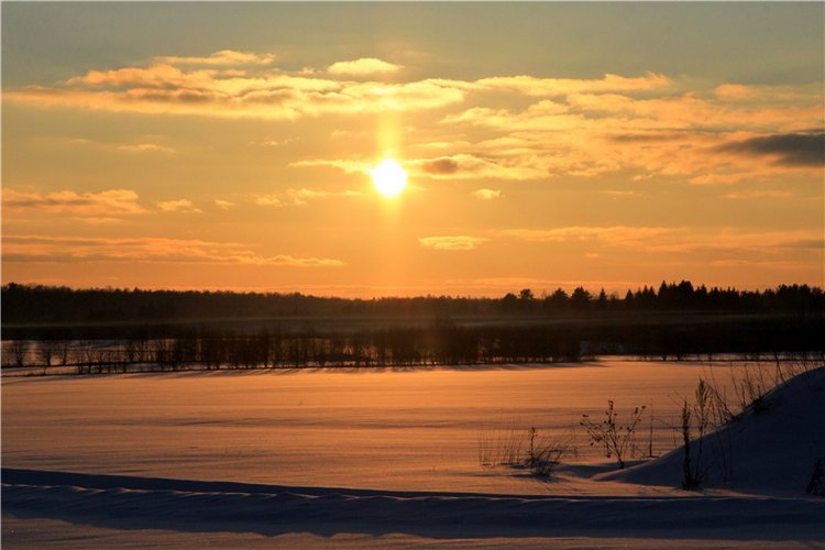 Зимняя прогулка Сони. Уникальная кукла от Сильвии Наттерер