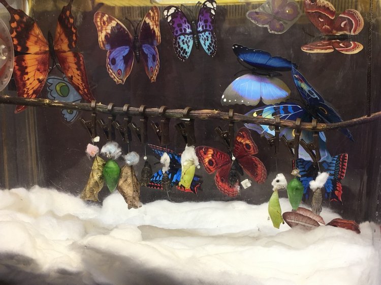 Апрель 2018 - выставка на Тишинке - так ее увидела я - часть 3