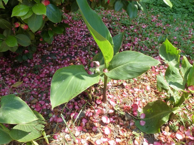 Краснодарский Край, Сочи-Адлер, Санаторий «Южное Взморье»