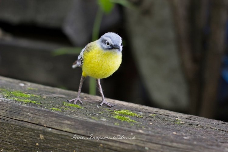 Жёлтая трясогузка — Валяные игрушки из шерсти: сухое валяние