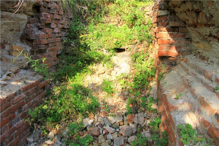 Инопланетянка Нийя. Custom Blythe Doll UFO Go Go Takara