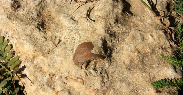 Старицкая Швейцария. Старицкие пещеры, д. Толпино, заключительная часть