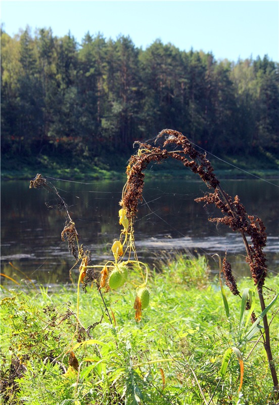 Старицкая Швейцария. Старицкие пещеры, д. Толпино, заключительная часть