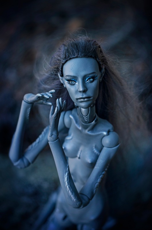 Музыка ветра — Домашние фото авторских кукол: личные коллекции (фото 6)