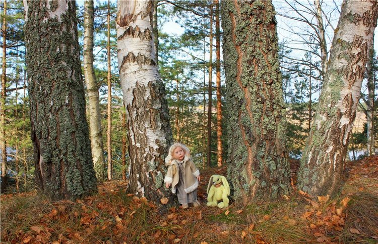 Ромашковый октябрь. Zwergnase Mischa