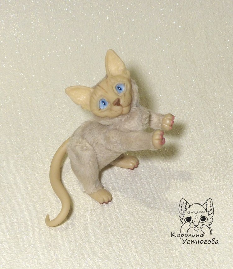 Два миниатюрных котика Сфинкса