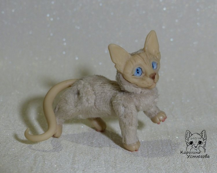 Два миниатюрных котика Сфинкса